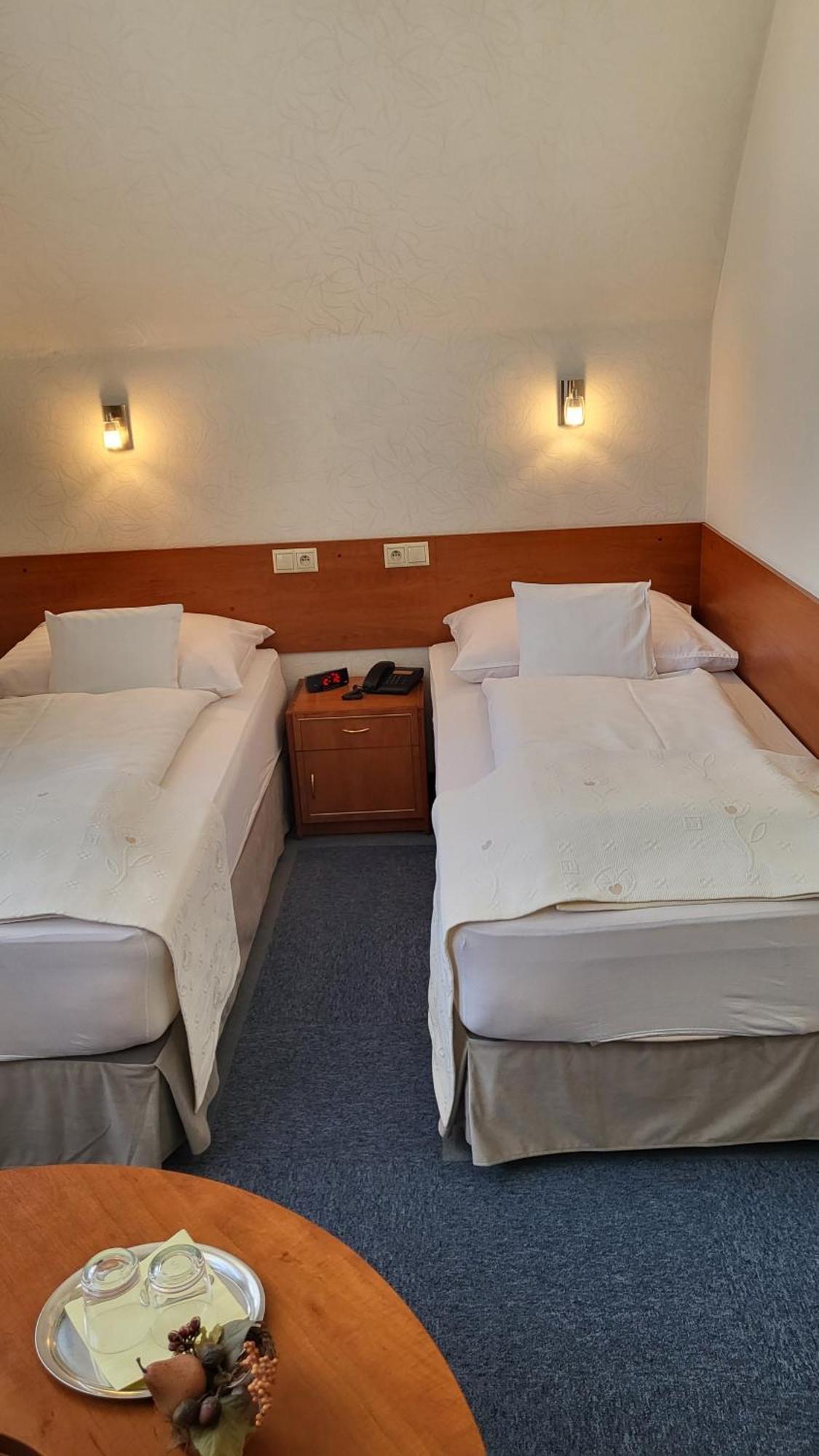 Hotel Margit Trenčianske Teplice Eksteriør billede
